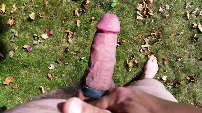 Attached Image